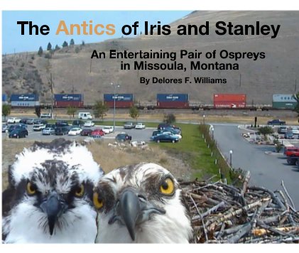 The Antics of Iris and Stanley book cover