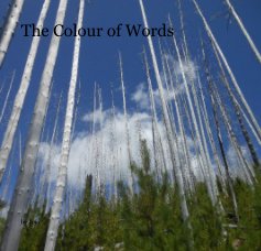 The Colour of Words book cover