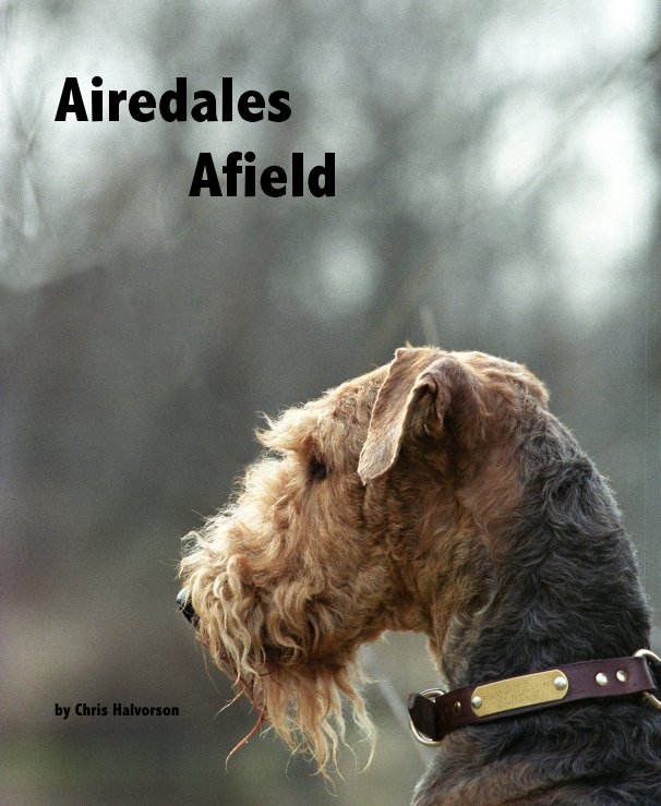 View Airedales Afield by Chris Halvorson