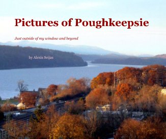 Pictures of Poughkeepsie book cover