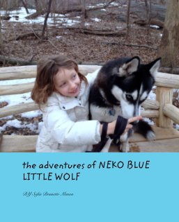 the adventures of NEKO BLUE LITTLE WOLF book cover