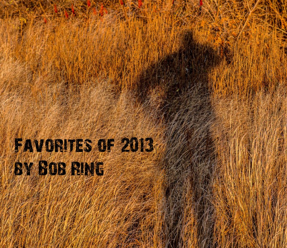Ver Favorites Of 2013 por Bob Ring