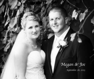 Megan & Joe book cover