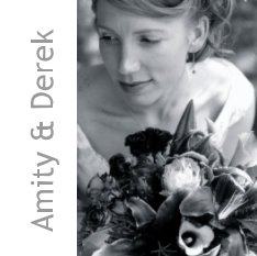 Amity & Derek book cover