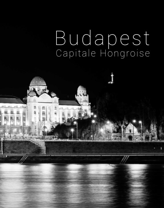 View Budapest by Léonard Badet