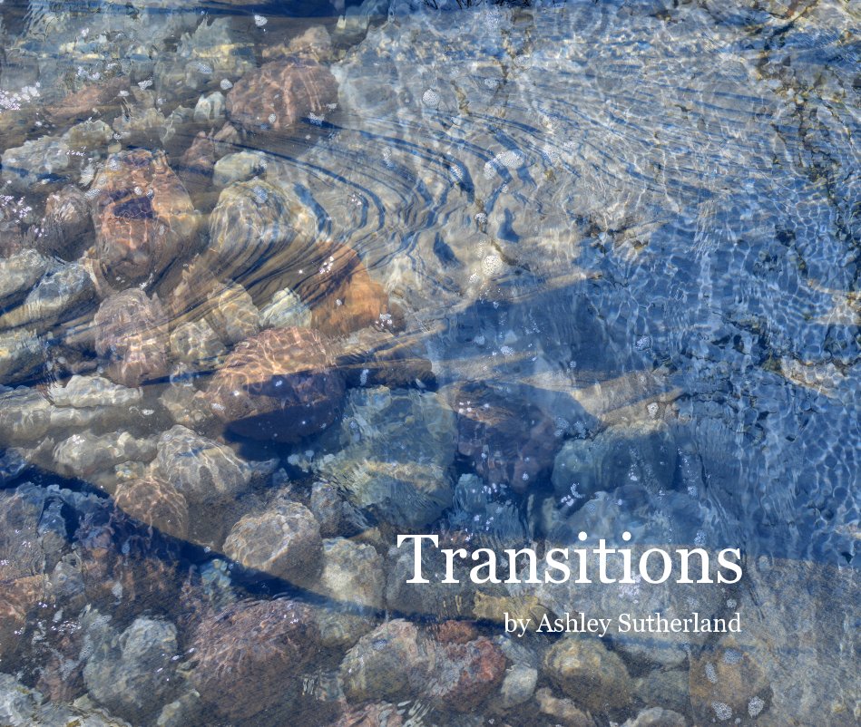 View Transitions by Ashley Sutherland