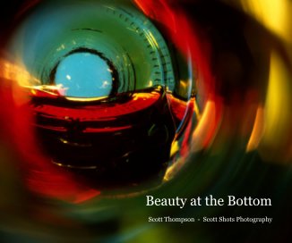 Beauty at the Bottom book cover
