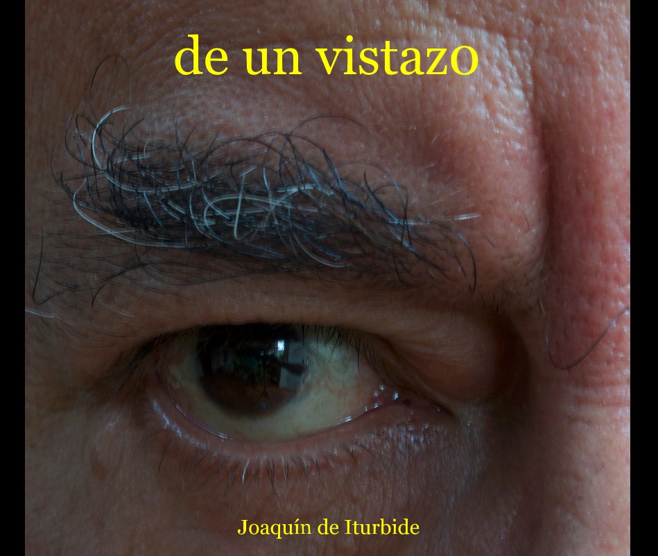 View de un vistaz0 by Joaquín de Iturbide