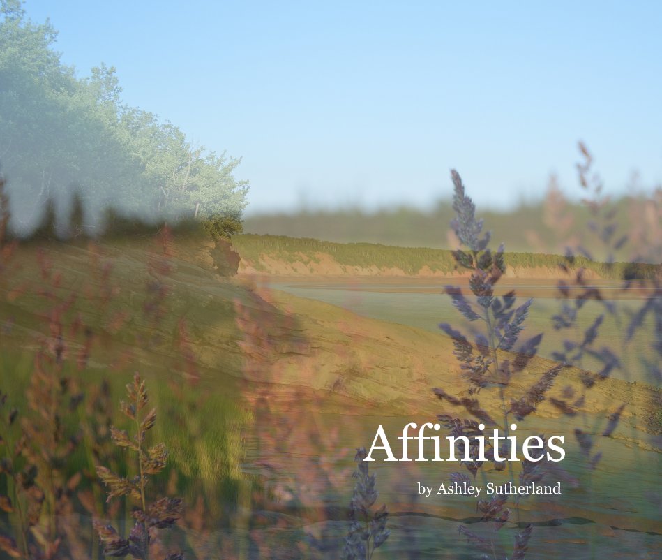 View Affinities by Ashley Sutherland