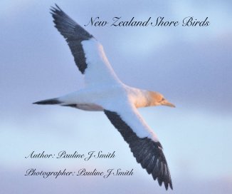 New Zealand Shore Birds book cover