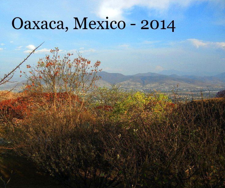 View Oaxaca, Mexico - 2014 by Svetlana Proskurovska