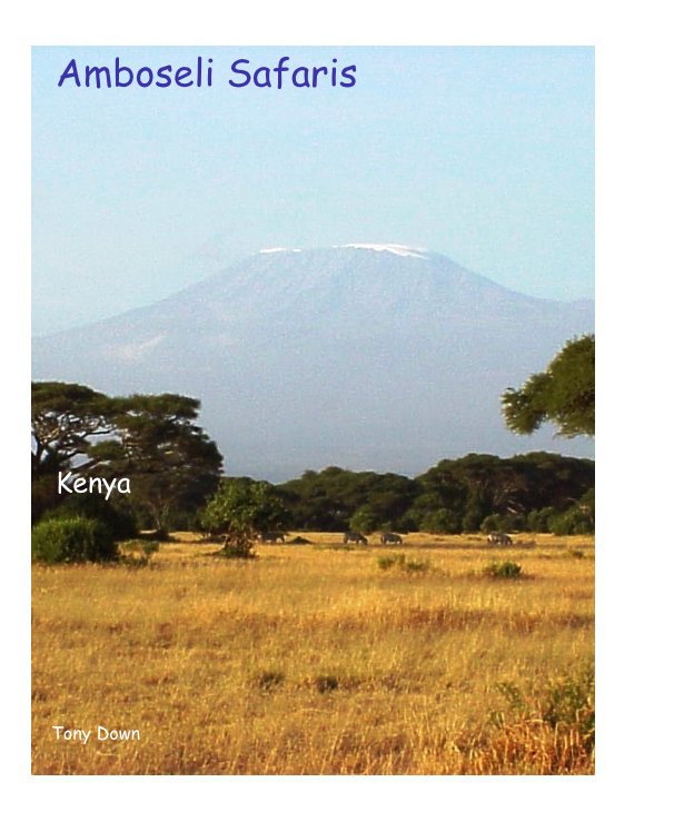 View Amboseli Safaris by Tony Down