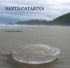 SANTA CATARINA book cover