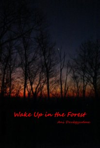 Wake Up in the Forest book cover