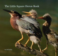 The Little Square Heron Book book cover
