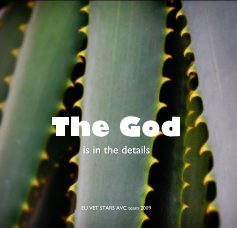 The God is in the details book cover