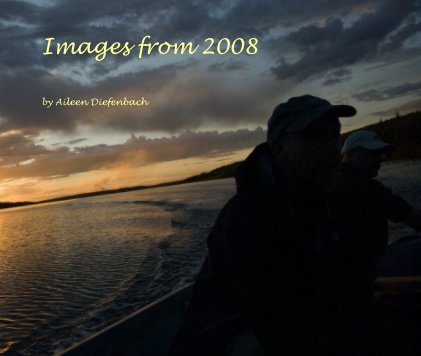 Images from 2008 book cover
