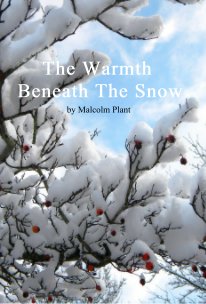 The Warmth Beneath The Snow book cover