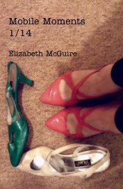 Mobile Moments 1/14 Elizabeth McGuire book cover
