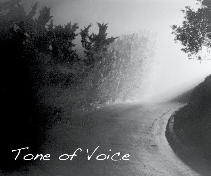 View Tone of Voice by Rebecca Probstmeyer