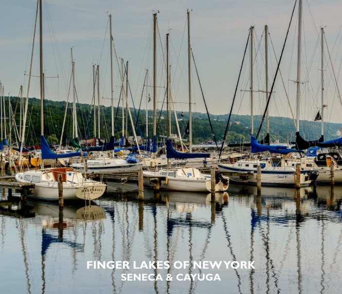 View New York Finger Lakes - Seneca & Cayuga by Bruce Rudilosso
