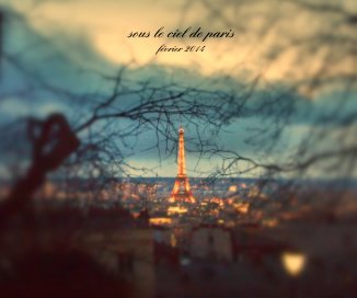 sous le ciel de paris février 2014 book cover