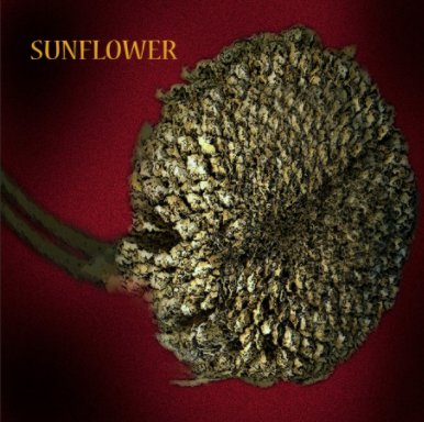 Sunflower book cover