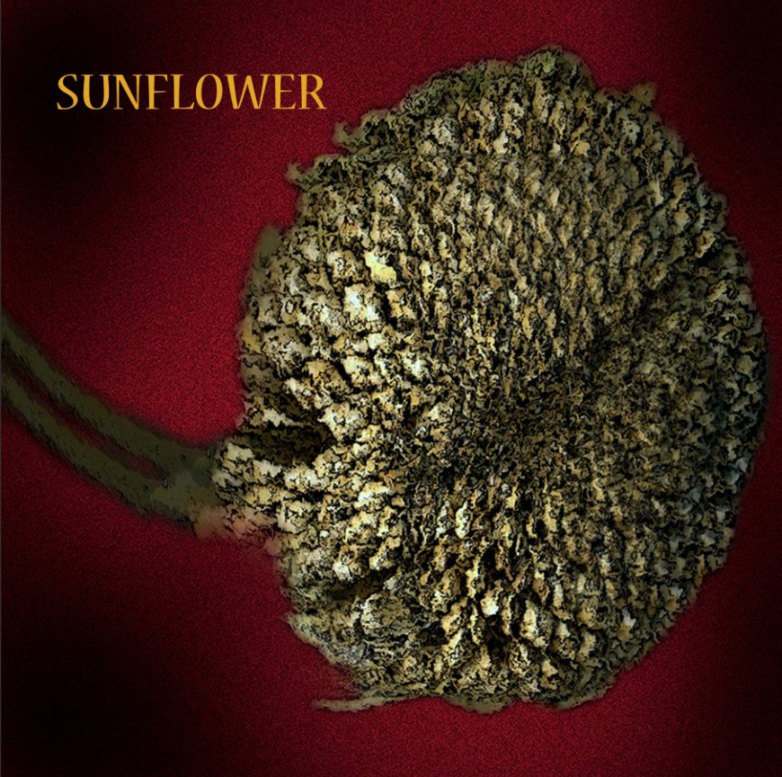Ver Sunflower por Kenneth Joseph Rajspis