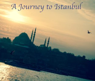 A Journey to Istanbul - 2014 book cover