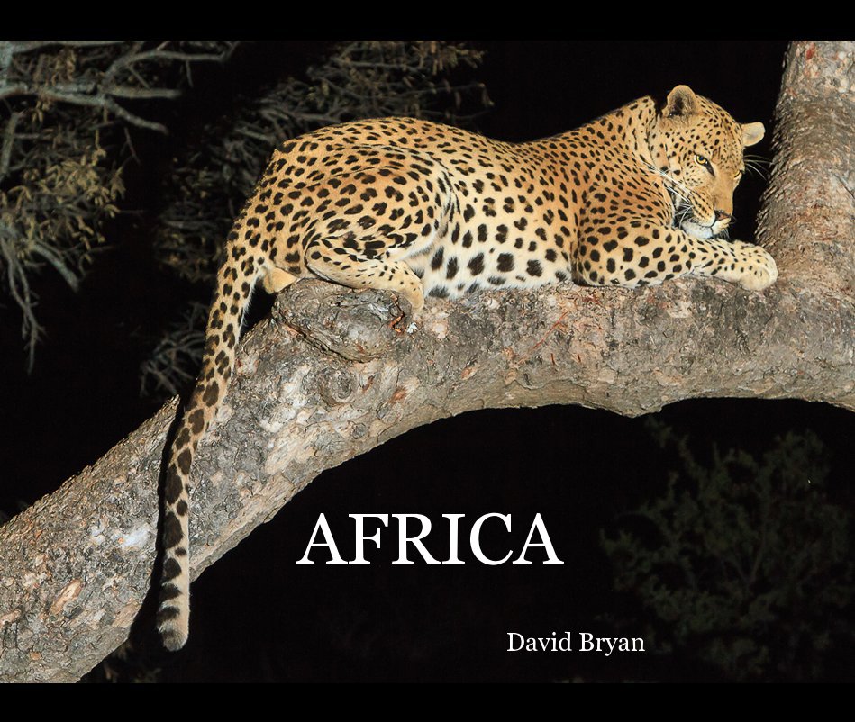 View AFRICA by David Bryan