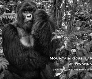 Mountain Gorillas of Rwanda book cover