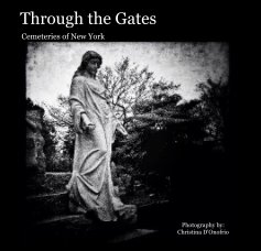 Through the Gates book cover