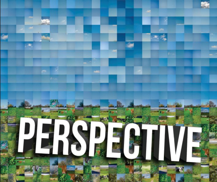 Bekijk Perspective (Hard Cover) op Martyn Hearson