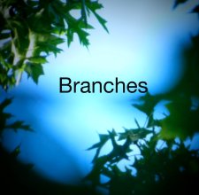 Branches book cover