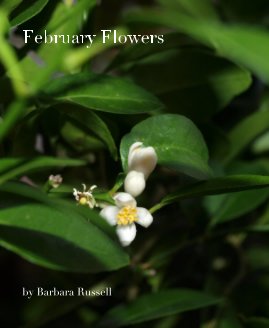 February Flowers book cover