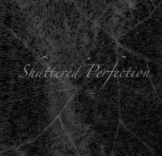 Shattered Perfection book cover
