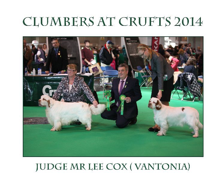 View Clumbers at Crufts 2014 by Eileen Sutherland