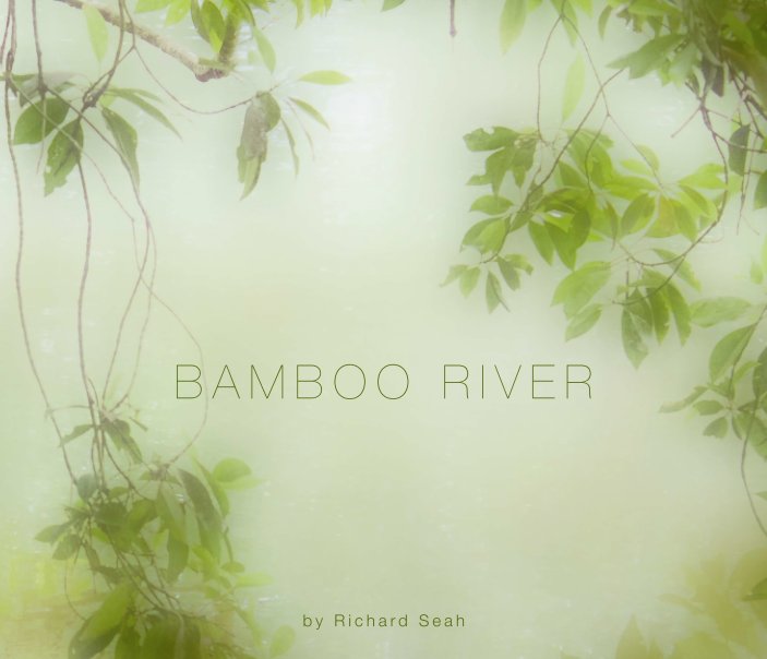 View BAMBOO RIVER by Richard Seah