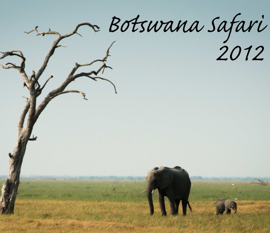 View Botswana Safari by John Kotz