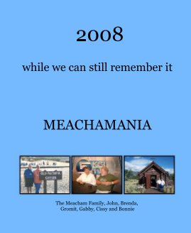 2008 while we can still remember it book cover