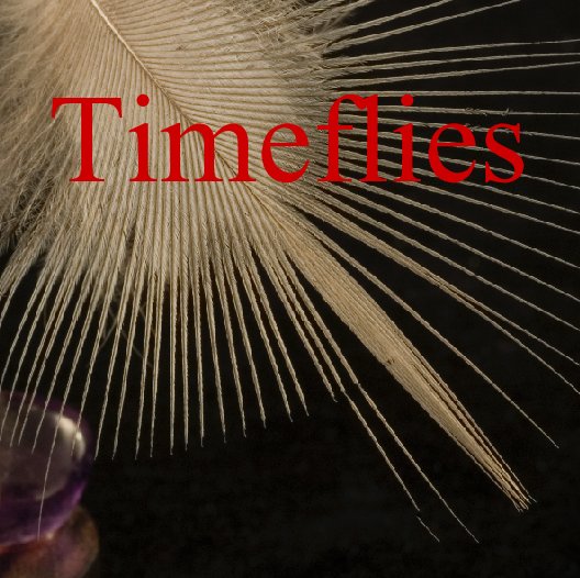 View Timeflies by Linda Overzee