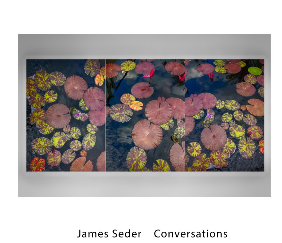 View Conversations by James Seder