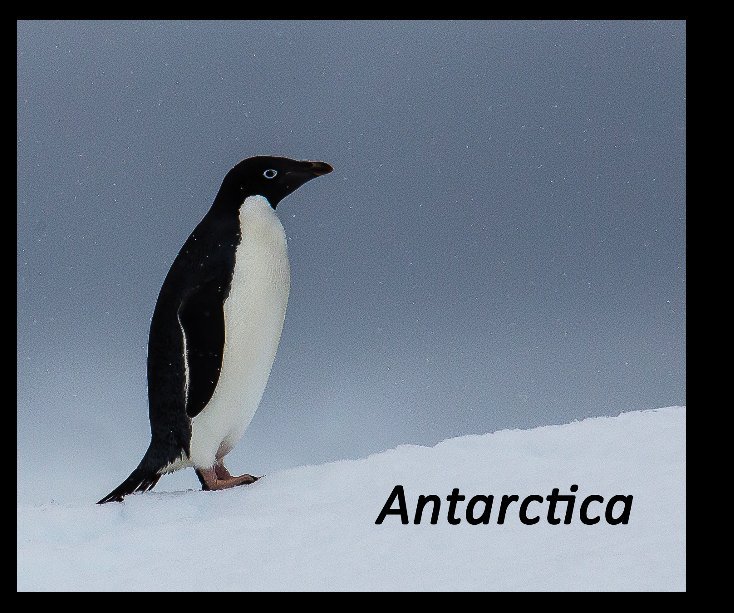 View Antarctica by Bob and Leaetta