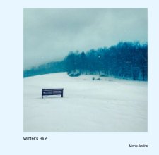 Winter's Blue book cover