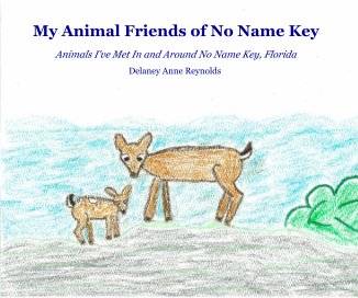 My Animal Friends of No Name Key book cover