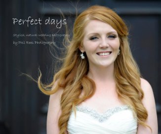 Perfect days book cover