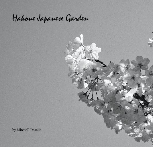 View Hakone Japanese Garden by Mitchell Dasalla