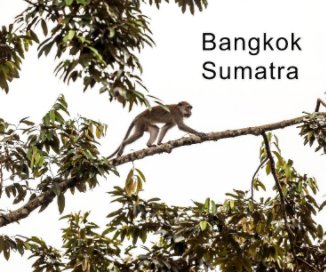 Bangkok Sumatra 2014 book cover