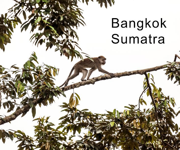 Ver Bangkok Sumatra 2014 por cabr