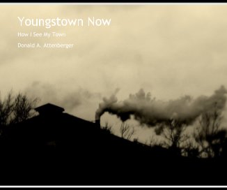 Youngstown Now book cover